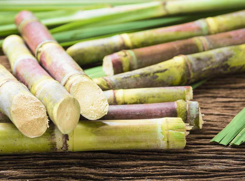 close-up-sugarcane-on-wood-background-close-up2